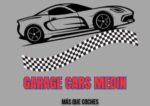 Garage Cars Medin